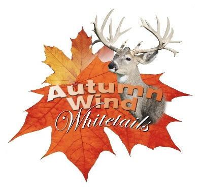 Autumn Wind Whitetails